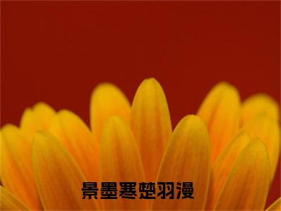 景墨寒楚羽漫（军医毒妃，妖孽王爷别挡路）免费阅读无弹窗大结局-景墨寒楚羽漫免费阅读大结局最新章节列表_笔趣阁
