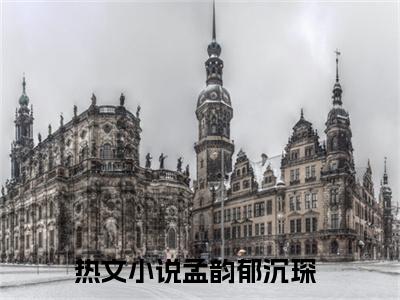 孟韵郁沉琛小说限时免费，孟韵郁沉琛完结版小说阅读无弹窗_笔趣阁