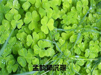 孟韵郁沉琛是的小说-《孟韵郁沉琛》完整章节阅读无弹窗免费阅读大结局