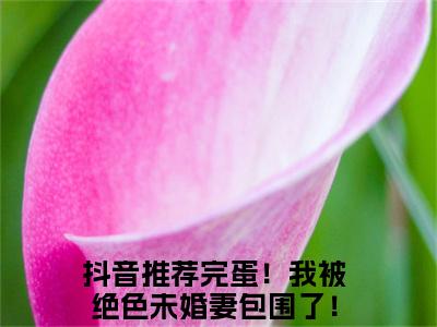 完蛋！我被绝色未婚妻包围了！苏皓近期热推小说-完蛋！我被绝色未婚妻包围了！苏皓小说精彩阅读