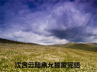 (沈含云陆承允)小说免费阅读无弹窗_（沈含云陆承允免费阅读）沈含云陆承允小说最新章节列表_笔趣阁（沈含云陆承允）