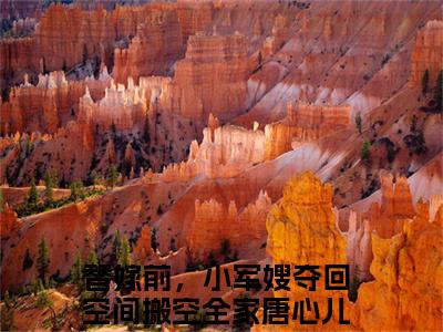 替嫁前，小军嫂夺回空间搬空全家唐心儿小说免费阅读替嫁前，小军嫂夺回空间搬空全家唐心儿小说全文免费阅读_（替嫁前，小军嫂夺回空间搬空全家唐心儿）替嫁前，小军嫂夺回空间搬空全家唐心儿最新章节列表笔趣阁
