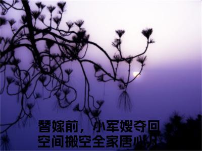 替嫁前，小军嫂夺回空间搬空全家唐心儿免费阅读无弹窗（替嫁前，小军嫂夺回空间搬空全家唐心儿）全文免费阅读无弹窗大结局_替嫁前，小军嫂夺回空间搬空全家唐心儿最新章节列表_笔趣阁（替嫁前，小军嫂夺回空间搬空全家唐心儿）
