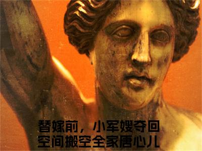 替嫁前，小军嫂夺回空间搬空全家唐心儿阅读无弹窗大结局_（替嫁前，小军嫂夺回空间搬空全家唐心儿阅读无弹窗）最新章节列表_笔趣阁（替嫁前，小军嫂夺回空间搬空全家唐心儿）