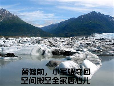 替嫁前，小军嫂夺回空间搬空全家唐心儿小说（替嫁前，小军嫂夺回空间搬空全家唐心儿）全文免费阅读无弹窗大结局_替嫁前，小军嫂夺回空间搬空全家唐心儿小说免费阅读无弹窗最新章节列表_笔趣阁