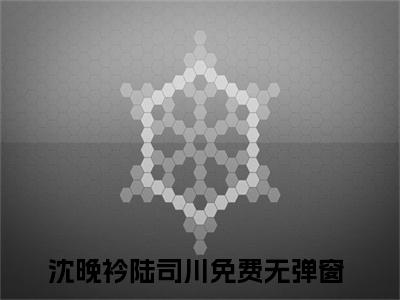 沈晚衿陆司川全文免费阅读无弹窗大结局_(沈晚衿陆司川免费阅读)沈晚衿陆司川无弹窗最新章节列表_笔趣阁