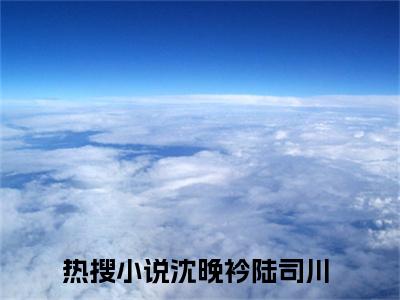 沈晚衿陆司川(沈晚衿陆司川)全文免费读无弹窗大结局_沈晚衿陆司川免费小说无弹窗最新章节列表_笔趣阁