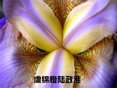 虞锦橙陆政淮书名是《虞锦橙陆政淮》在线赏析_虞锦橙陆政淮txt小说阅读_虞锦橙陆政淮在线阅读笔趣阁