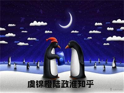 虞锦橙陆政淮（虞锦橙陆政淮）全文免费阅读无弹窗大结局_虞锦橙陆政淮免费阅读无弹窗