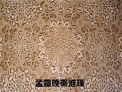 孟霜晚秦淮瑾无广告小说（孟霜晚秦淮瑾）全文免费阅读无弹窗大结局-孟霜晚秦淮瑾在线阅读