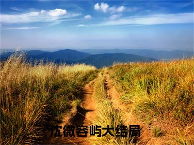 沈微容屿无广告小说（沈微容屿）全文免费阅读无弹窗大结局-沈微容屿在线阅读