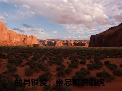 经典小说周卿秦霆琛无广告小说免费阅读替身锁爱：秦总如狼似虎全章节免费阅读