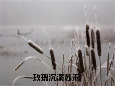 玫瑰沉溺苏禾小说（玫瑰沉溺苏禾）小说全文无删减版在线阅读_玫瑰沉溺苏禾小说最新章节列表_笔趣阁