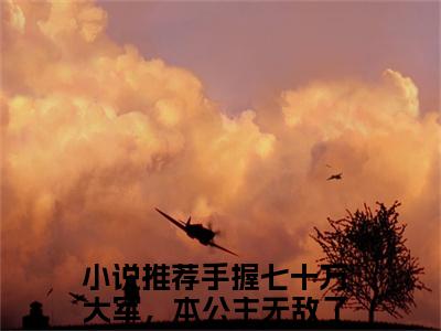 （手握七十万大军，本公主无敌了梁月）是什么小说-手握七十万大军，本公主无敌了梁月全文免费阅读无弹窗大结局（手握七十万大军，本公主无敌了梁月）最新章节列表_笔趣阁