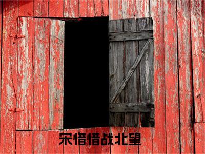 宋惜惜战北望小说（宋惜惜战北望）全文免费阅读无弹窗大结局_宋惜惜战北望小说免费阅读无弹窗最新章节列表_笔趣阁