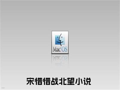 小说推荐宋惜惜战北望精彩章节全文阅读-（宋惜惜战北望）新书热荐免费小说