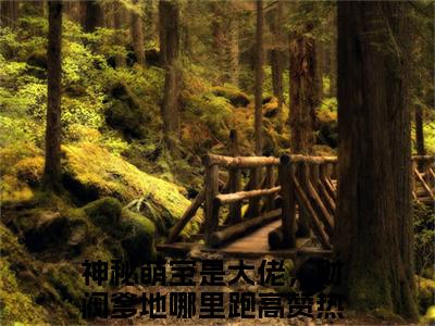 顾云熙傅宴琛（神秘萌宝是大佬，财阀爹地哪里跑）全文免费阅读无弹窗大结局_顾云熙傅宴琛免费阅读最新章节列表_笔趣阁（神秘萌宝是大佬，财阀爹地哪里跑）