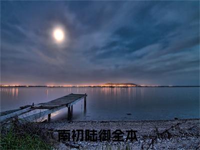 南初陆御在线阅读（南初陆御）全文无弹窗大结局_南初陆御全文在线阅读无弹窗