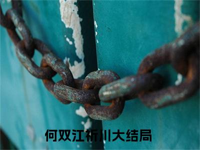 热文（何双江祈川）美文阅读_热门小说主人公是（何双江祈川）最新章节限时观看_笔趣阁