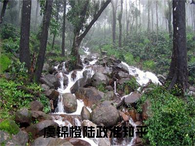 虞锦橙陆政淮全文免费阅读-小说虞锦橙陆政淮大结