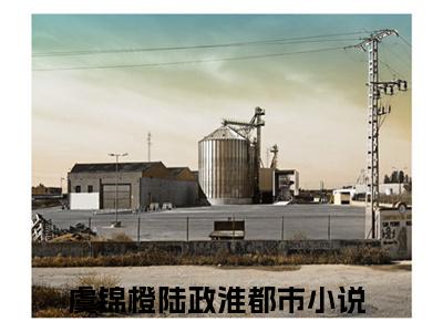 虞锦橙陆政淮(虞锦橙陆政淮)全文免费阅读无弹窗大结局_(虞锦橙陆政淮)最新章节