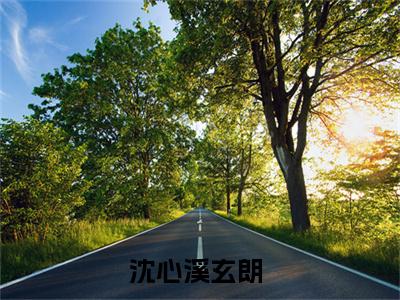 沈心溪玄朗小说在线阅读-小说（沈心溪玄朗）免费观看