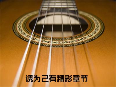 傅时律盛又夏小说诱为己有大结局-精彩美文诱为己有免费阅读