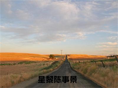 星黎陈事景（星黎陈事景）小说全文免费阅读无弹窗大结局_星黎陈事景全文在线阅读无弹窗（星黎陈事景）