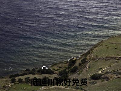 陆延川秋好（陆延川秋好全文）全文免费阅读无弹窗大结局_（陆延川秋好）陆延川秋好全文小说最新章节列表笔趣阁（陆延川秋好全文）