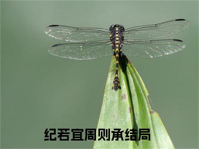 纪若宜周则承全文免费阅读_（纪若宜周则承免费阅读无弹窗）纪若宜周则承最新章节在线阅读笔趣阁