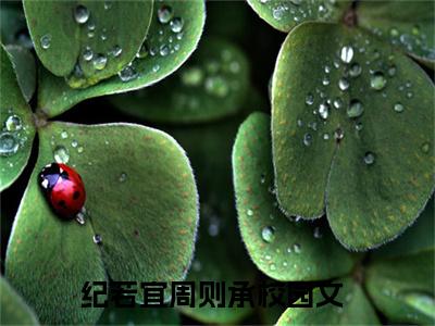 纪若宜周则承小说全文无删减-纪若宜周则承小说大结局免费阅读