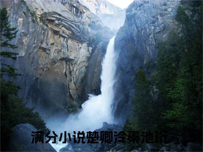楚卿泠秦池珩小说全文免费阅读无弹窗-（楚卿泠秦池珩阅读无弹窗）穿越小说免费阅读_笔趣阁