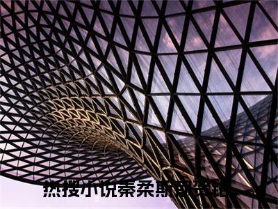 秦柔斯郁贺铭全文推荐阅读，秦柔斯郁贺铭热门榜单免费新书阅读