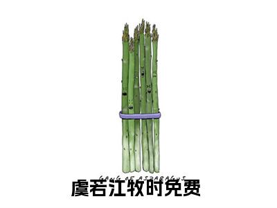 虞若江牧时(虞若江牧时)最新章节在线阅读-虞若江牧时已完结全集大结局小说