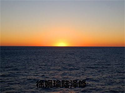 主角为徐婉瑜陆泽修的小说（徐婉瑜陆泽修）无弹窗大结局-最新小说徐婉瑜陆泽修全文阅读最新章节列表_笔趣阁