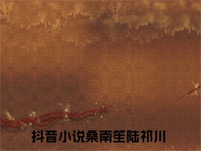 桑南笙陆祁川（桑南笙陆祁川）新上热文免费阅读-桑南笙陆祁川（桑南笙陆祁川）无广告在线阅读