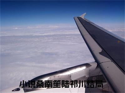 桑南笙陆祁川（桑南笙陆祁川）全章节完整版免费小说_桑南笙陆祁川最新章节在线阅读_笔趣阁