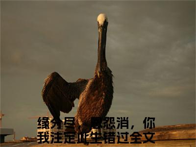 孟希栀谢珩屿小说（缘分尽，恩怨消，你我注定此生错过）全文免费阅读无弹窗_孟希栀谢珩屿最新小说_笔趣阁（缘分尽，恩怨消，你我注定此生错过）