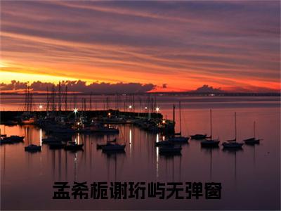 孟希栀谢珩屿（孟希栀谢珩屿）全文免费阅读无弹窗大结局_孟希栀谢珩屿最新章节列表（孟希栀谢珩屿）