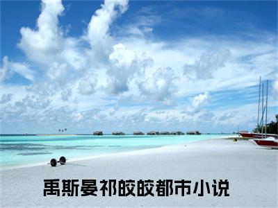 精选热门禹斯晏祁皎皎全文无删减版在线阅读