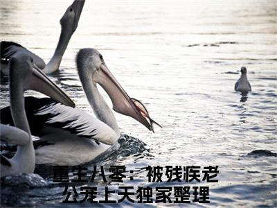 重生八零：被残疾老公宠上天为云珂谢司扬的小说叫什么-最新小说云珂谢司扬全文阅读