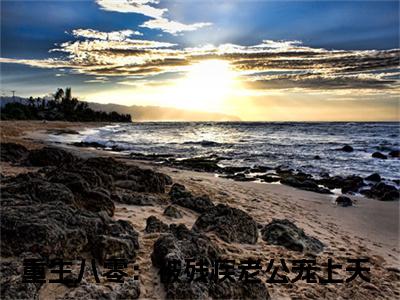 重生八零：被残疾老公宠上天（云珂谢司扬）全文免费阅读无弹窗大结局_重生八零：被残疾老公宠上天完整章节阅读