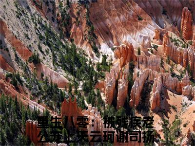 云珂谢司扬（重生八零：被残疾老公宠上天最新章节）在线阅读-免费小说云珂谢司扬全文阅读