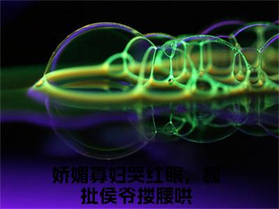 娇媚寡妇哭红眼，疯批侯爷搂腰哄（孟婉裴卿礼）全文免费阅读_孟婉裴卿礼全文阅读_笔趣阁