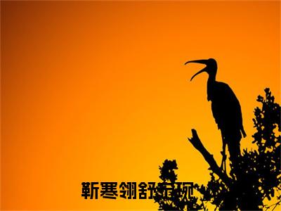 （靳寒翎舒宁琬）全文免费阅读靳寒翎舒宁琬言情小说讲的是什么