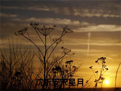 主角为沈祈安宋星月的小说精彩阅读-沈祈安宋星月最新章节阅读