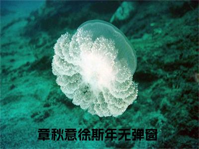 章秋意徐斯年（章秋意徐斯年）免费阅读最新章节无弹窗章秋意徐斯年完整版小说在线阅读