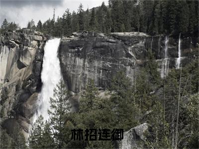 林招连御林招连御无广告阅读新上热文林招连御在线免费读