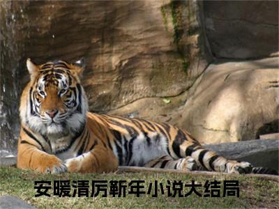 安暖清厉靳年（安暖清厉靳年）全文免费阅读安暖清厉靳年最新章节小说免费阅读_笔趣阁