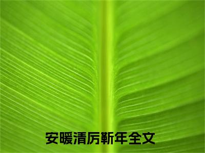 安暖清厉靳年全文免费阅读无弹窗大结局_（安暖清厉靳年）最新章节列表笔趣阁（安暖清厉靳年）